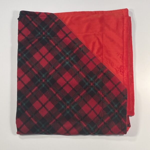 Red Green Plaid Minky S